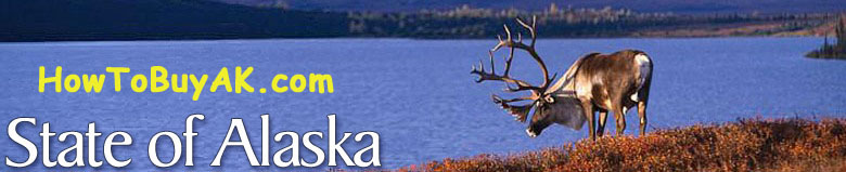 The original HowToBuyAK.com State of Alaska banner, with a caribou beside a lake